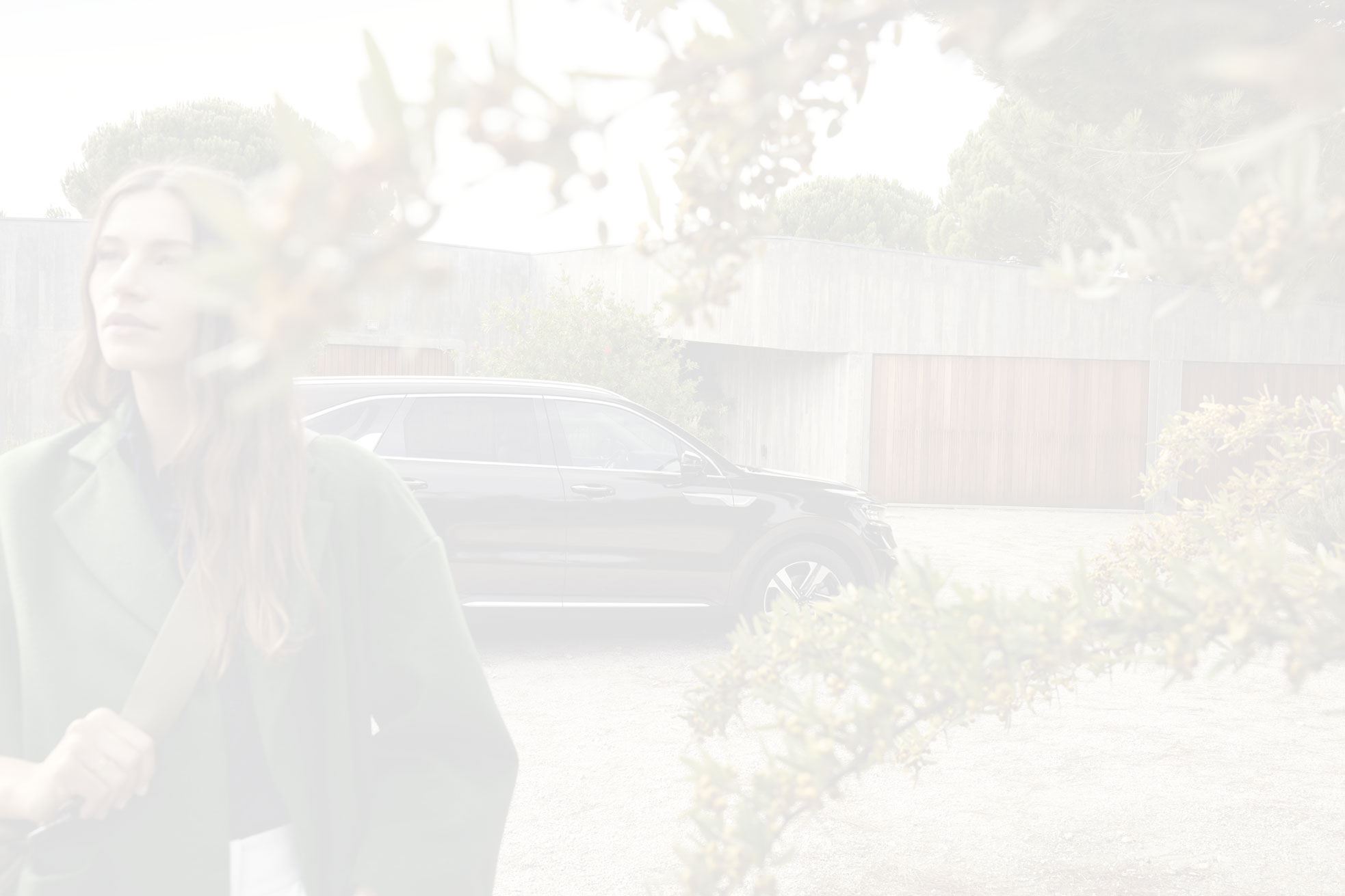 backgroundImageAlt1
